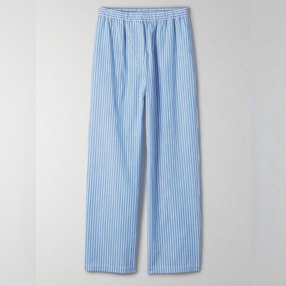 Aritzia Blue Striped Pants
